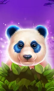 Luck of Panda: Bonus Combo